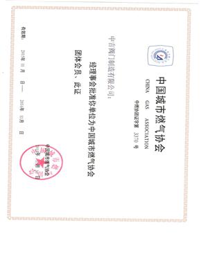 中国城市燃气协会证